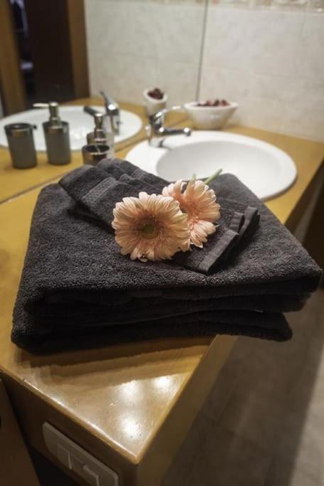 밀라노 Osti 3 Beautifully Furnished 아파트 외부 사진